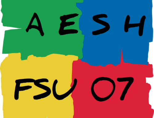 Compte-rendu réunion d’information syndicale AESH  Juin 2024