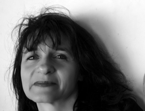 Dossier special stage public/ privé Diaporama de l&rsquo;intervention de Fabienne Fedérini