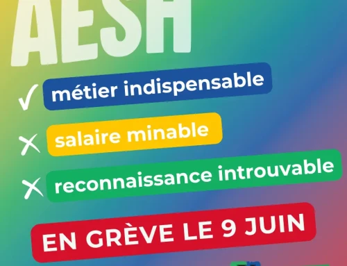 AESH : un vrai métier, un vrai corps de fonctionnaire ! Toutes et tous mobilisé.es le mardi 9 juin